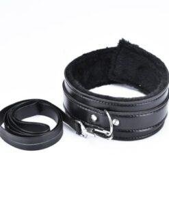 Collar & Leash