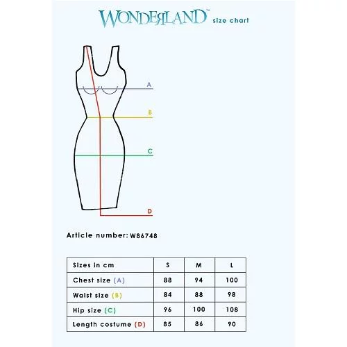 Leg Avenue Naughty Nurse Costume Medium - Image 4
