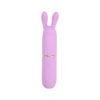 Nauti Petites 10 Speed Rabbit Ears Bullet Vibrator n12252 nauti petites 10 speed rabbit ears bullet vibrator