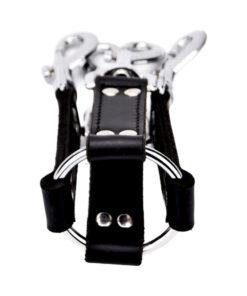 n12269 bound leather 4 way hog tie 1