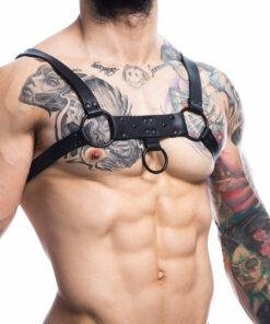 C4M H4RNESS Black Party Harness One Size