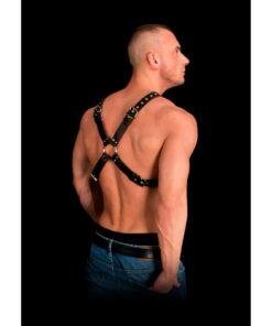 n12654 adonis high halter bonded leather harness os 1