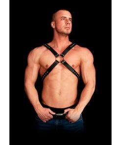 Adonis High Halter Bonded Leather Harness One Size