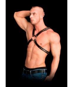n12654 adonis high halter bonded leather harness os 4
