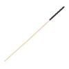 n12774 bound to please spanking cane 1