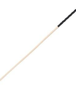 Bound to Please Spanking Cane