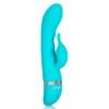 Foreplay Frenzy Teaser Vibrator