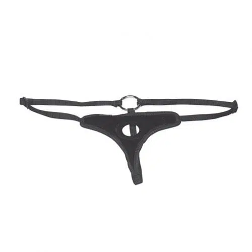 Lux Fetish Velvet Bikini Strap On Harness - Image 2