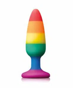 Pride Pleasure Plug Rainbow - Medium