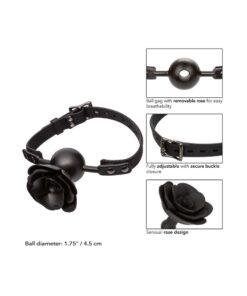 SE 2653 20 3x4