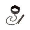 Boundless Collar & Leash