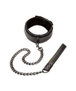 Boundless Collar & Leash