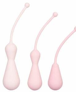 Inspire Weighted Silicone Kegel Training Kit