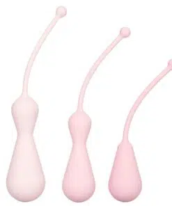 Inspire Weighted Silicone Kegel Training Kit