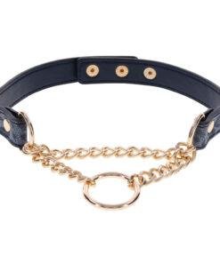SportSheets Cougar Day Collar