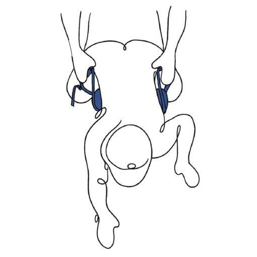 Sportsheets Pivot Deluxe Strap - Image 4