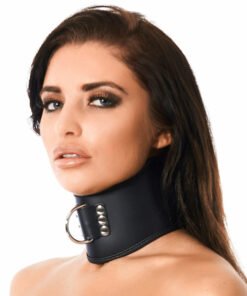 Leather Collar with Padlock