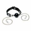 Nipple Chain and Mouth Gag