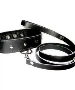 Leather Leash and Collar